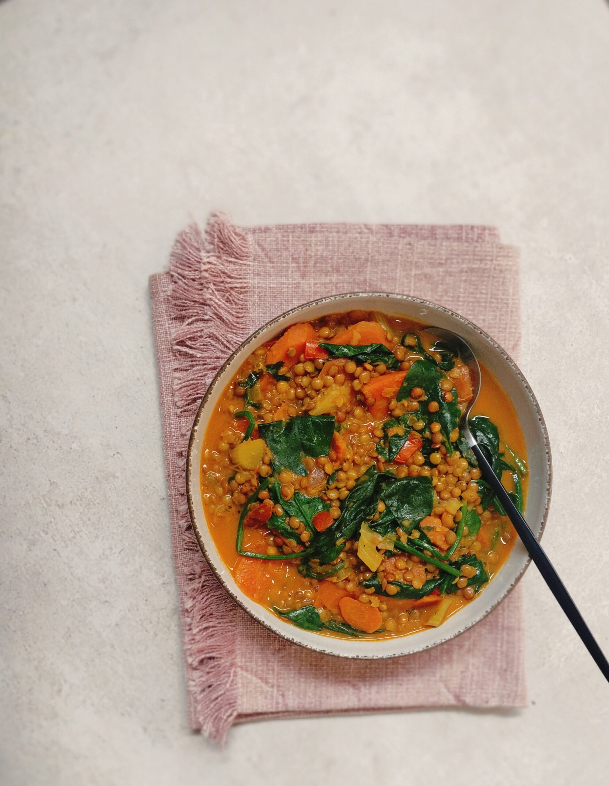 LENTEJAS PARDINAS GUISADAS CON VEGETALES
